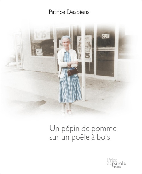 Couverture ebook de Un pépin de pomme sur un poêle à bois, de Desbiens Patrice