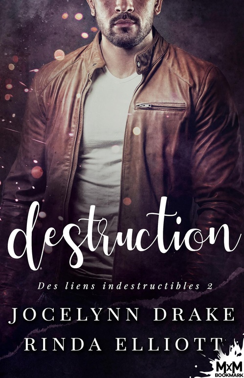 ebook cover of Destruction, by Jocelynn Drake, Rinda Elliott