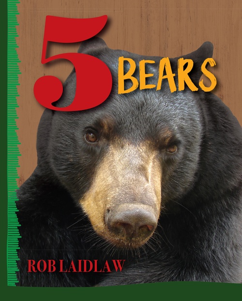 Couverture ebook de 5 Bears, de Rob Laidlaw