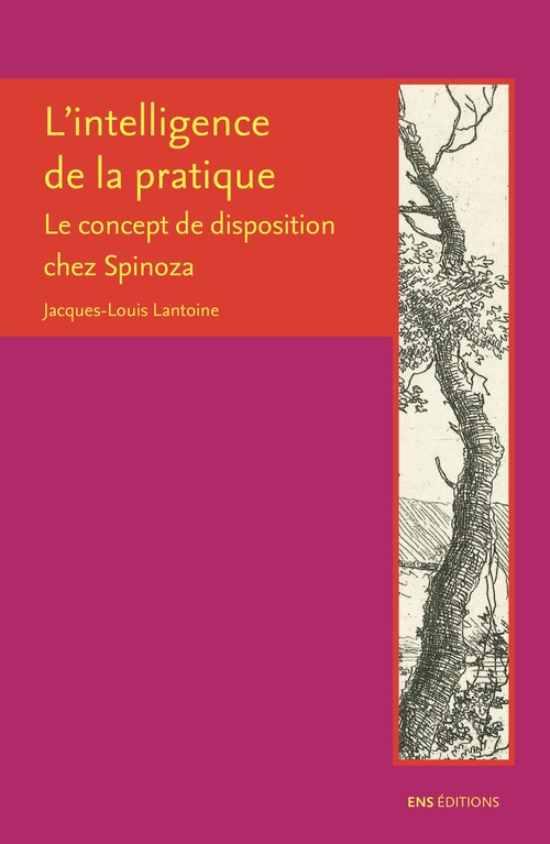 ebook cover of L´intelligence de la pratique, by Jacques-louis Lantoine