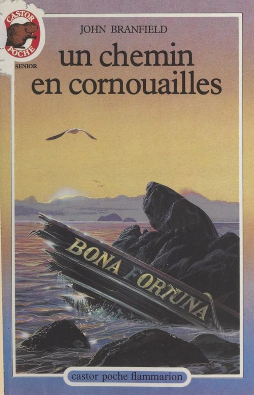 ebook cover of Un chemin en Cornouailles, by John Branfield