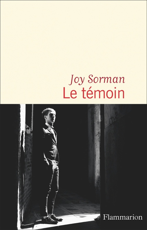 Couverture ebook de Le témoin, de Joy Sorman
