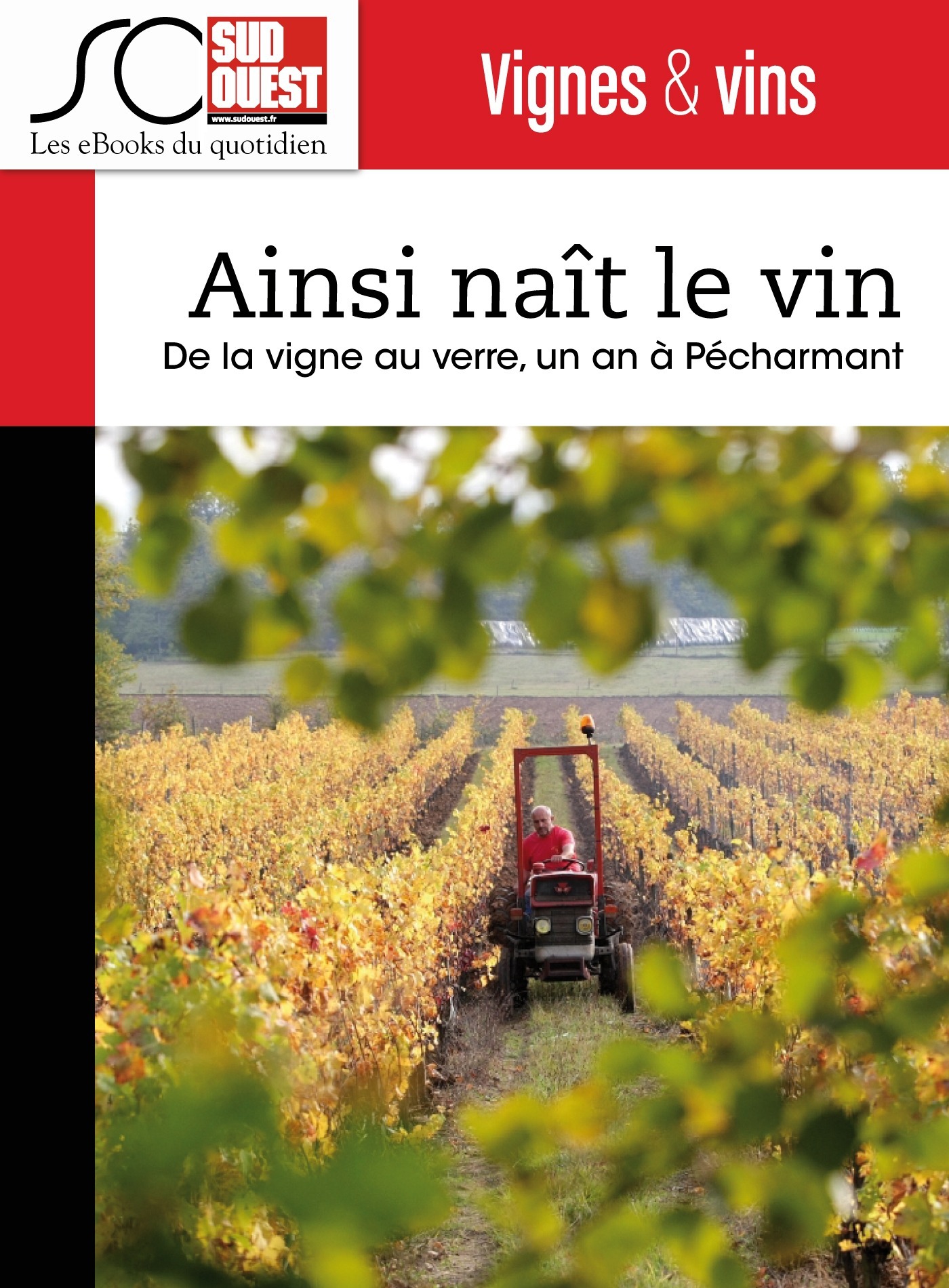 ebook cover of Ainsi naît le vin, by Adrien Vergnolle