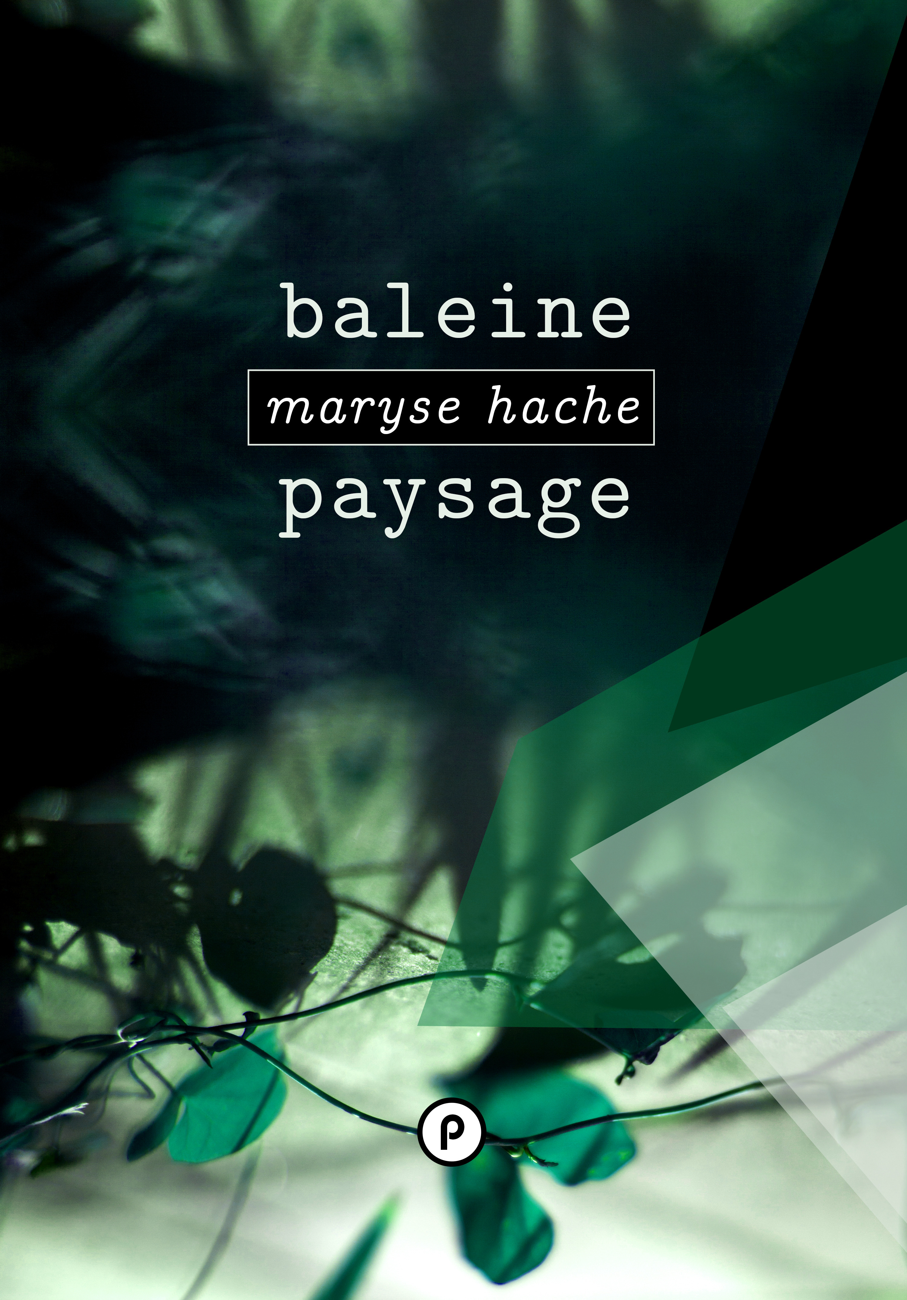 ebook cover of Baleine Paysage, by Maryse Hache