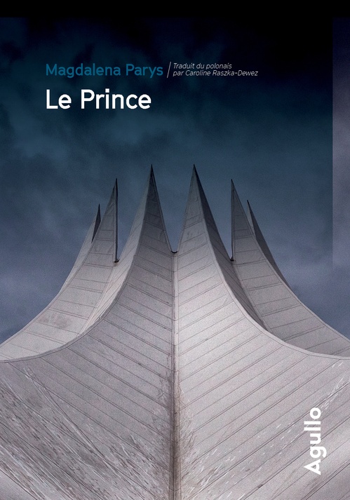 ebook cover of Le Prince, by Magdalena Parys