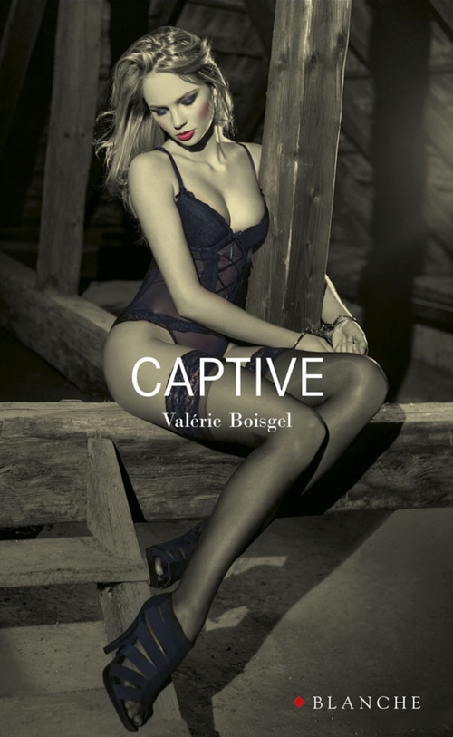 ebook cover of Captive, by Valérie Boisgel, Pierre Bourgeade