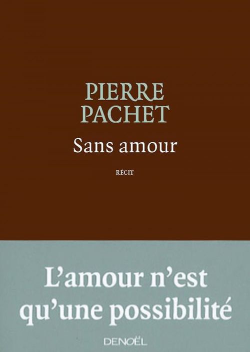ebook cover of Sans amour, by Pierre Pachet