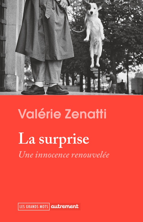 ebook cover of La Surprise. Une innocence renouvelée, by Valérie Zenatti
