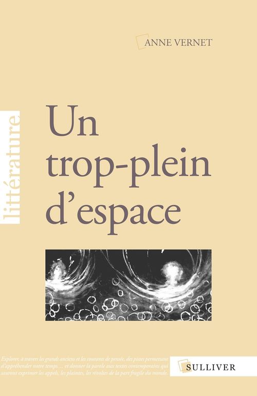 Couverture ebook de Un trop plein d'espace, de Anne Vernet