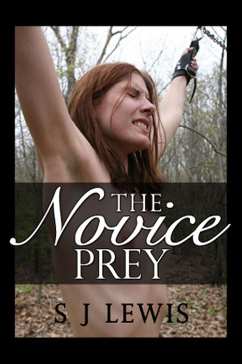 ebook cover of The Novice Prey, by Sj Lewis