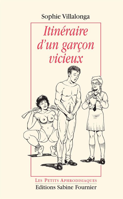 ebook cover of Itinéraire d´un garçon vicieux, by Sophie Villalonga