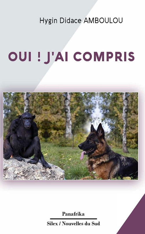 Couverture ebook de Oui j'ai compris, de Hygin Didace Amboulou