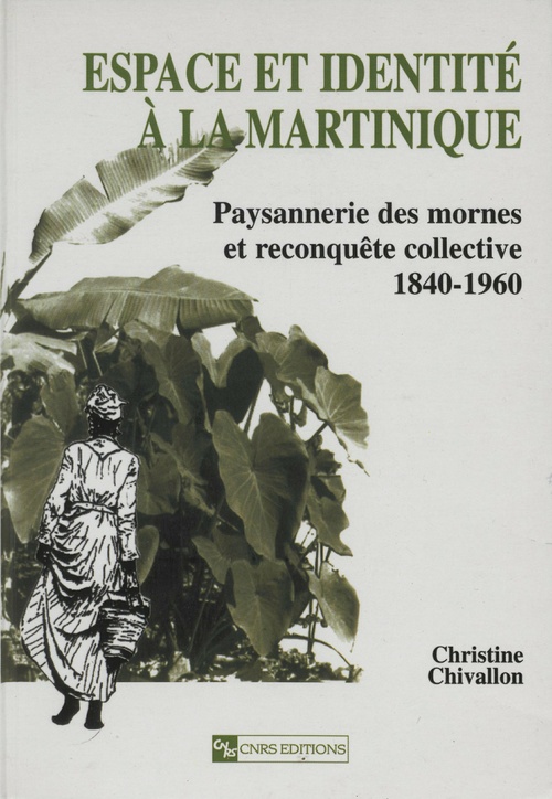 ebook cover of Espace et identité à la Martinique, by Christine Chivallon
