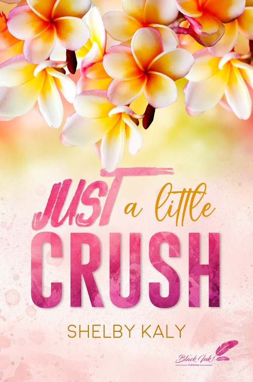Couverture ebook de Just a little crush, de Shelby Kaly
