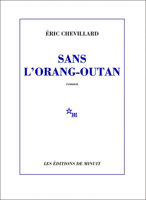 ebook cover of Sans l'orang-outan, by Eric Chevillard