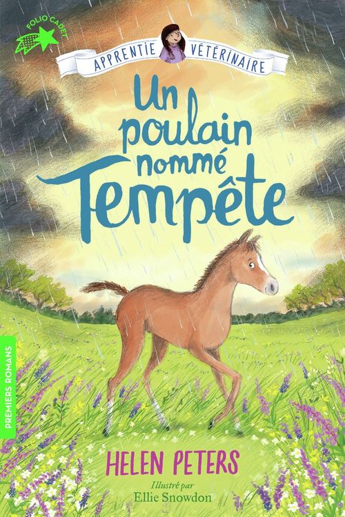 ebook cover of Jasmine l'apprentie vétérinaire (Tome 9) - Un poulain nommé Tempête, by Helen Peters