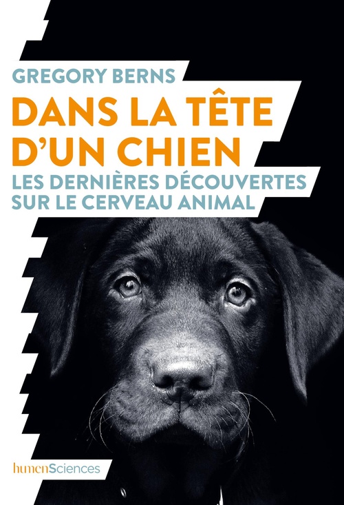 ebook cover of Dans la tête d'un chien : Les dernières découvertes sur le cerveau animal, by Grégory Berns, Rene Cuillierler