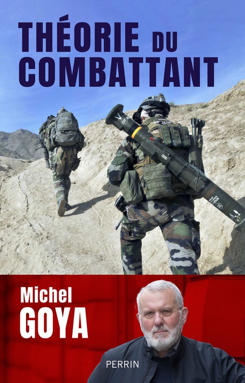 ebook cover of Théorie du combattant, by Michel Goya