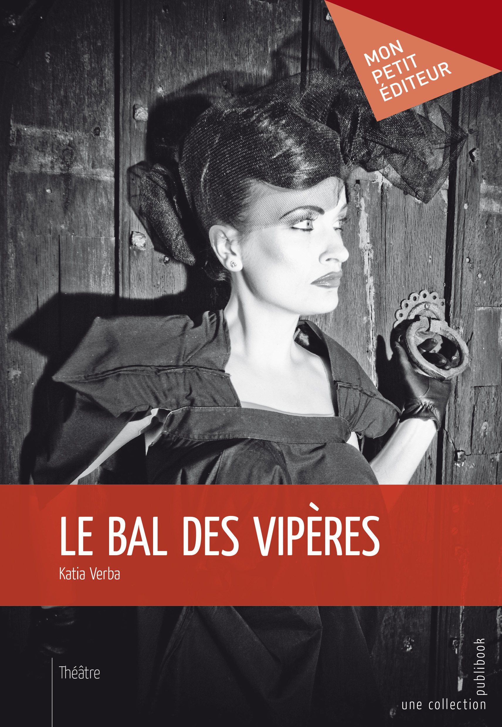 Couverture ebook de Le Bal des vipères, de Katia Verba