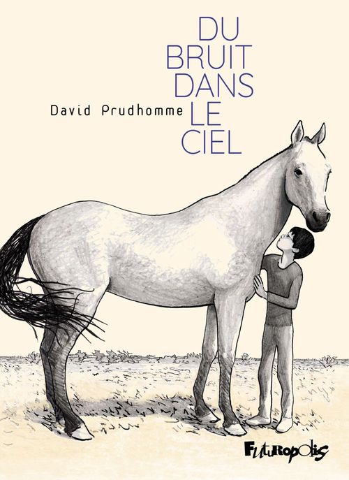 ebook cover of Du bruit dans le ciel, by David Prudhomme