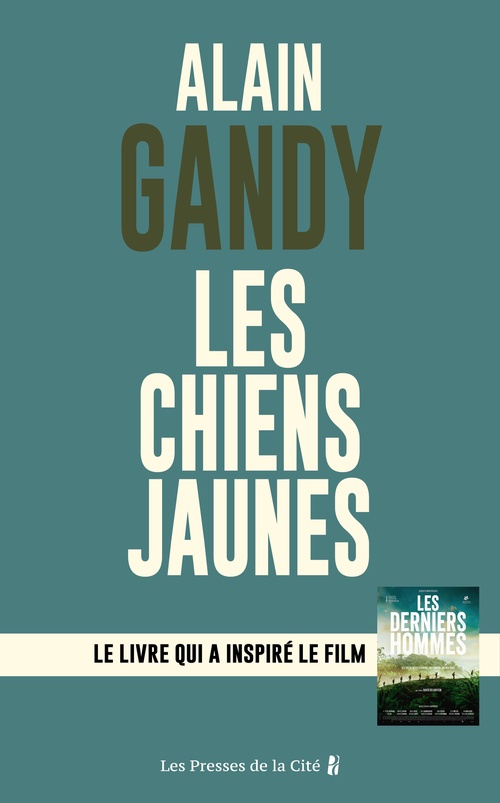 ebook cover of Les Chiens Jaunes, by Alain Gandy