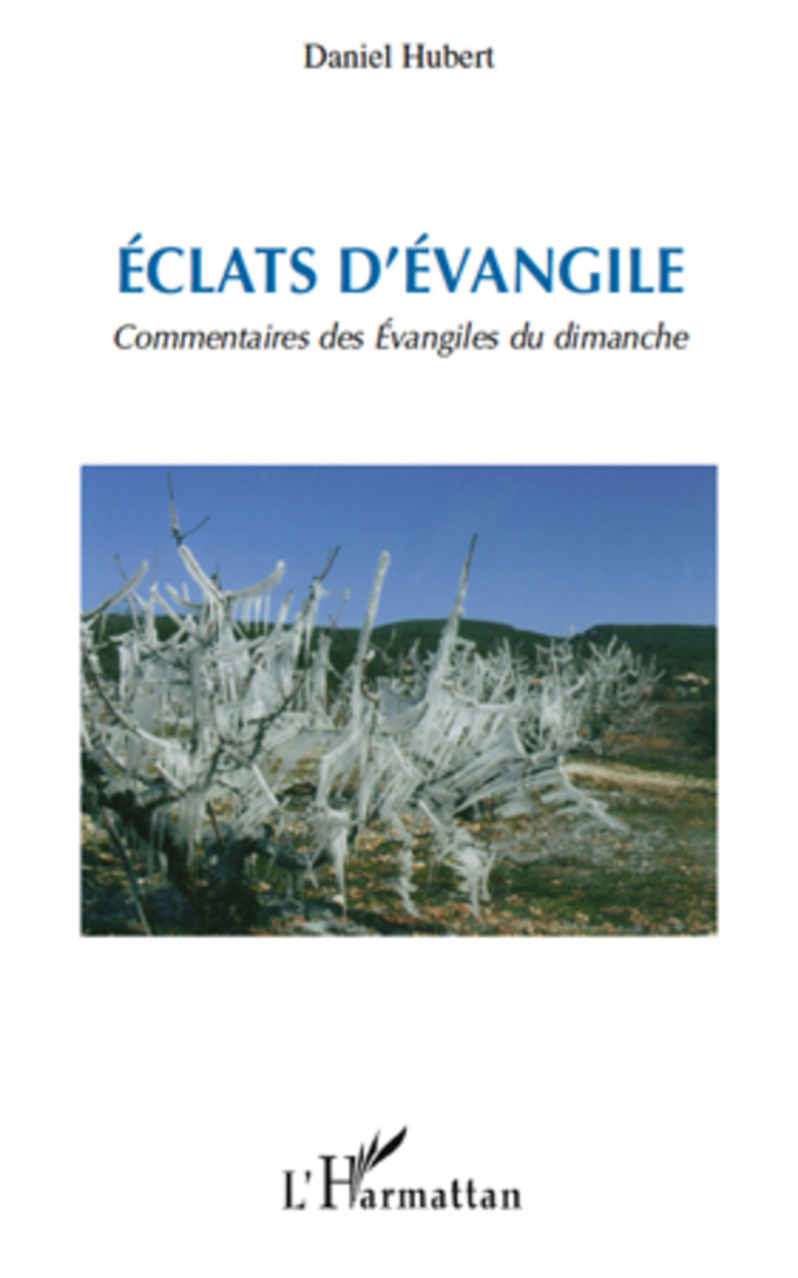 ebook cover of Eclats d'Evangile, by Daniel Hubert