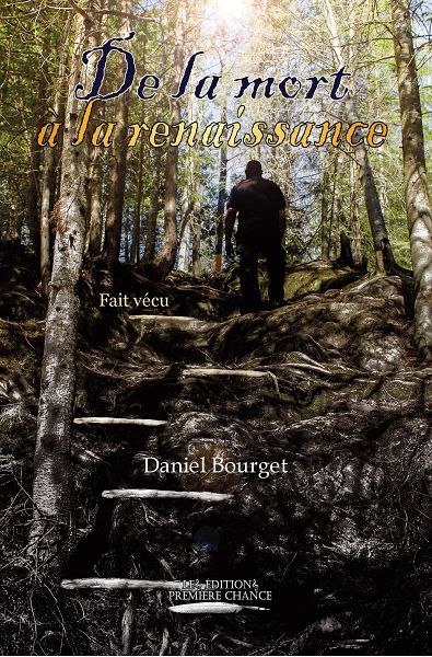 ebook cover of De la Mort à la Renaissance, by Daniel Bourget