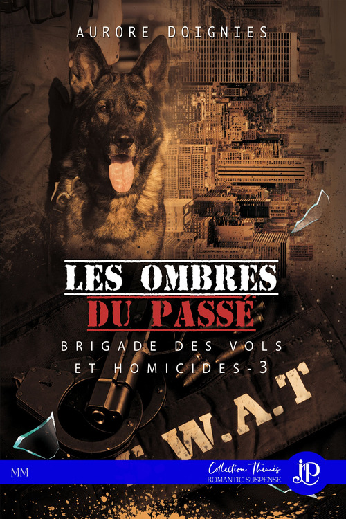 Couverture ebook de Les ombres du passé, de Aurore Doignies