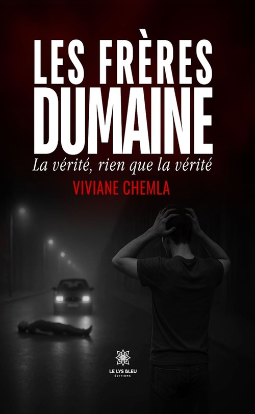 ebook cover of Les frères Dumaine, by Viviane Chemla