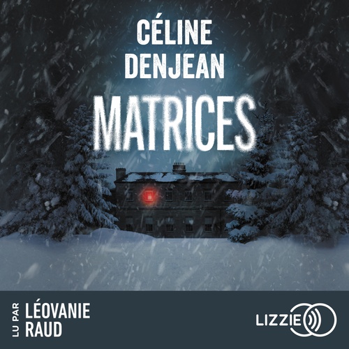 audiobook cover of Matrices, by Céline Denjean