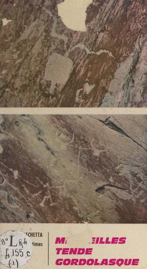 Couverture ebook de Merveilles, Tende, Gordolasque, de Vincent Paschetta