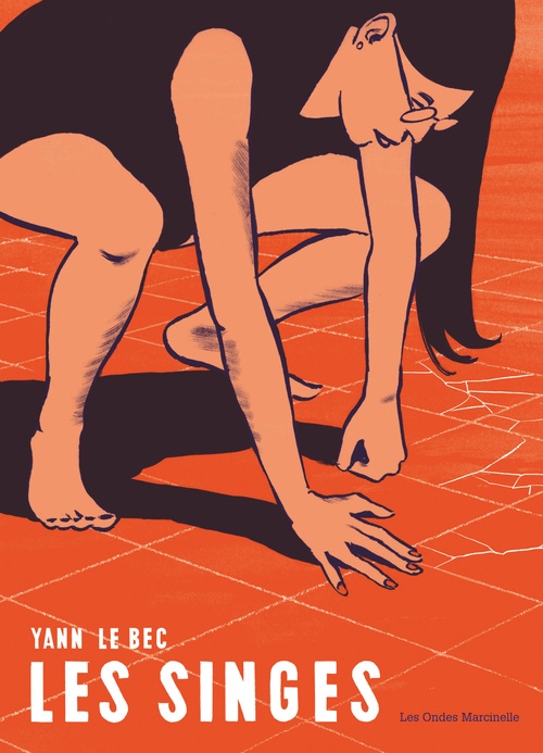 ebook cover of Les singes, by Yann Le Bec