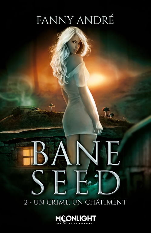 ebook cover of Un crime, un châtiment, by Fanny André