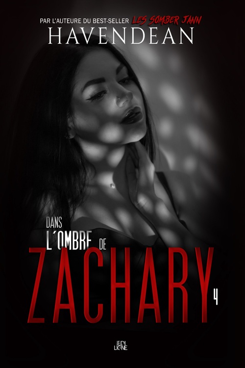 ebook cover of Dans l'ombre de Zachary, by Cynthia Havendean