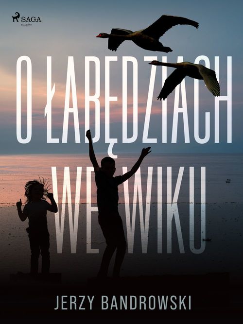 Couverture ebook de O labedziach we wiku, de Jerzy Bandrowski