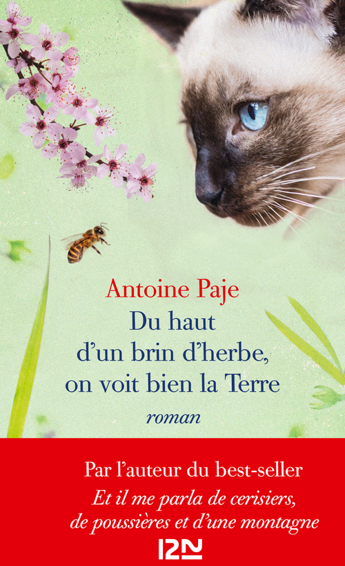 Couverture ebook de Du haut d'un brin d'herbe, on voit bien la Terre, de Antoine Paje