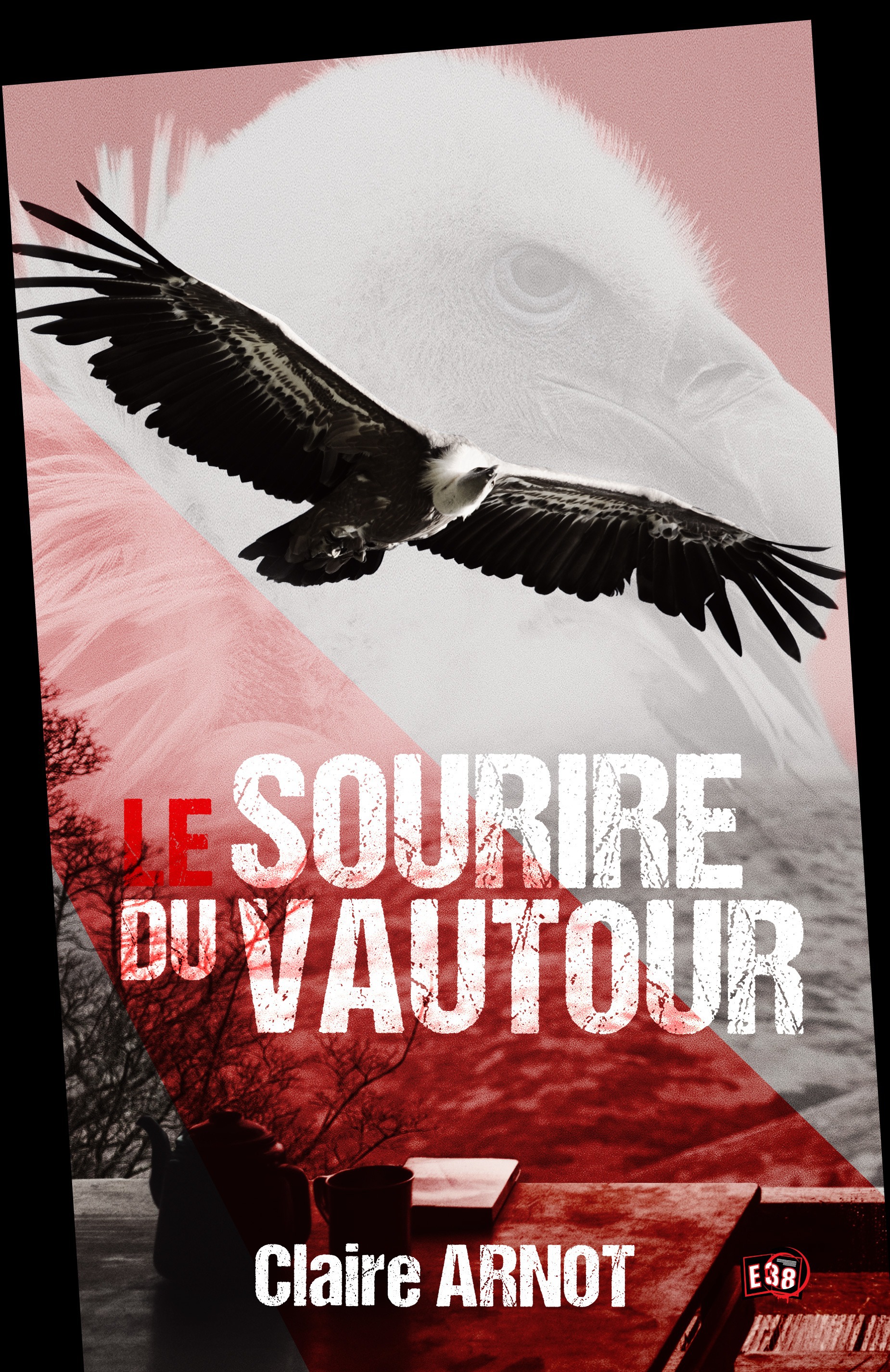 ebook cover of Le Sourire du Vautour, by Claire Arnot