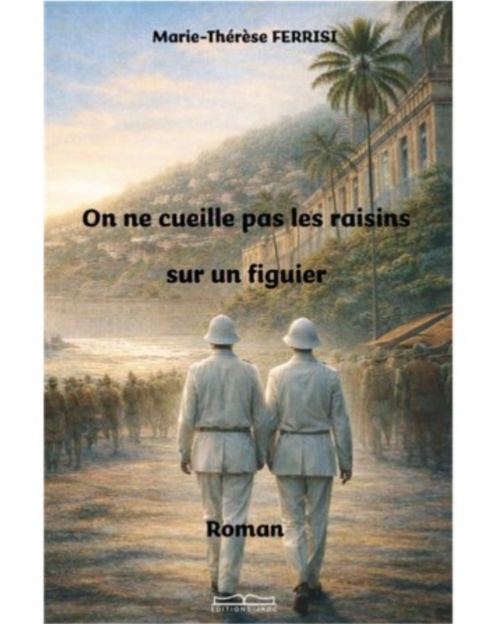 ebook cover of On ne cueille pas les raisins sur un figuier, by Marie-Thérèse Ferrisi