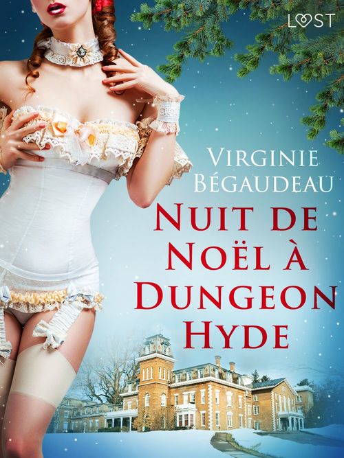 ebook cover of Nuit de Noël à Dungeon Hyde - Une nouvelle érotique, by Virginie Begaudeau