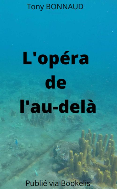 Couverture ebook de L'opéra de l'au-delà, de Tony Bonnaud