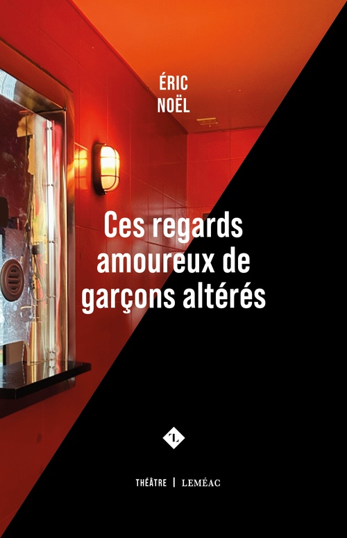 ebook cover of Ces regards amoureux de garçons altérés, by Éric Noël