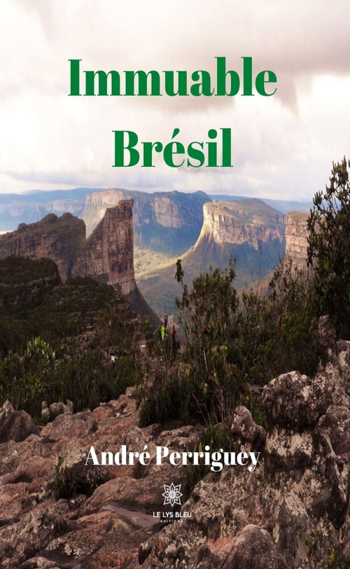 Couverture ebook de Immuable Brésil, de André PERRIGUEY
