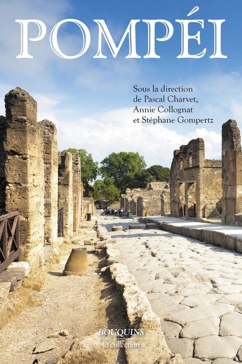 Couverture ebook de Pompei, de Collectif, Pascal Charvet, Stéphane Gompertz, Annie Collognat