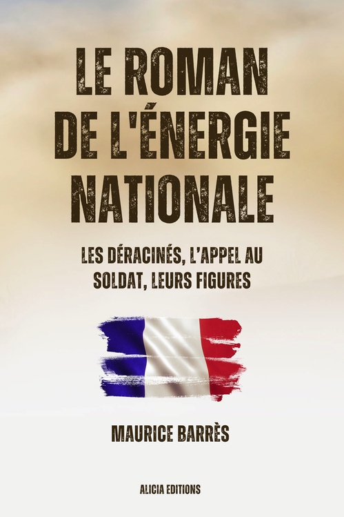 Couverture ebook de Le roman de l´énergie nationale, de Maurice Barres