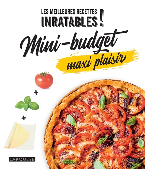 ebook cover of Mini-budget maxi plaisir, by Fabrice Besse, Emanuela Cino, Mélanie Martin
