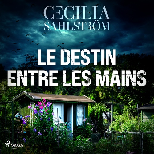 audiobook cover of Le Destin entre les mains, by Cecilia Sahlström
