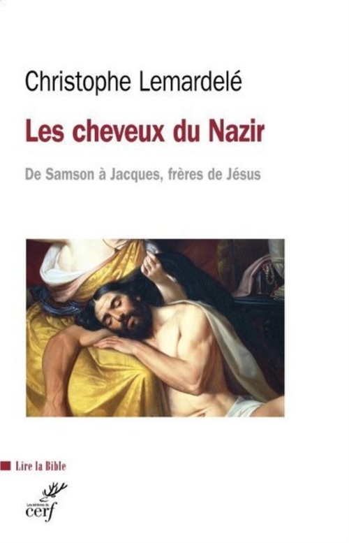 Couverture ebook de LES CHEVEUX DU NAZIR, de Christophe Lemardelé