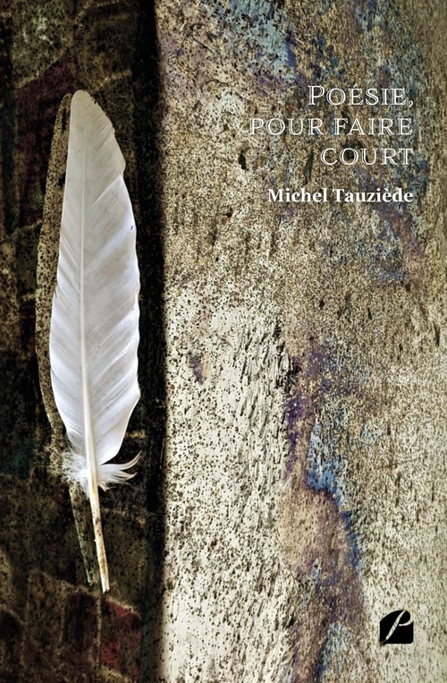 ebook cover of Poésie, pour faire court, by Michel Tauziède