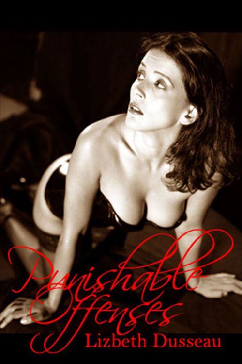 Couverture ebook de Punishable Offenses, de Lizbeth Dusseau