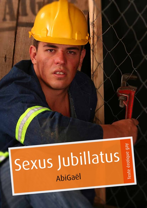 Couverture ebook de Sexus Jubillatus (pulp gay), de Abigael